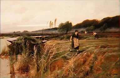 Letní sklizeň