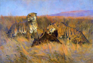 Tigers at Kill (olej na plátně)