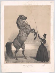 Žil kolem roku 1860 Tourniaire