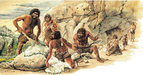 Prehistorie Paleolit: Lovci používali kůži zabitých sázek a vyráběli nástroje a zbraně (oštěp).