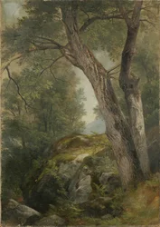 Ořešák popelavý v Hague, Lake George, New York, 1862