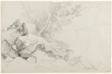 Studie skal se stromy, Hague, jezero George, New York, 1862 (grafit na šedém papíře)