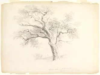 Chestnut Oak on the Hosack Estate, Hyde Park, New York s pěti postavami a kresbou umělce, 1838 (grafit na papíře)