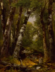 Woodland Glen, ca. 1850-1855.