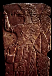 Orientální starožitnosti: detail reliéfu albastra představujícího ochranné křídlo džina s lidským tělem a hlavou orla, od paláce Sargona II. nebo Sharroukina, krále Asýrie, po Dur-Sharrukin (dnešní Khorsabad (Khunsabad) (Mezopotámie), Irák .