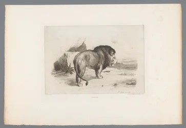Lev Un vieux lion (název na objektu) Francouzské lepty z roku 1874 (název série) L