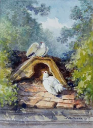 Dva akvareloví holubi od Auguste Delierre (1829-1891) pro bajku Jean de la Fontaine (1621-1695) 19. století. Chateau Thierry. Muzeum La Fontaine