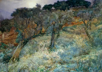 olivový háj, Augusto Corelli (1853-1910)