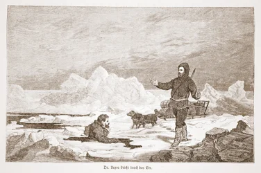 Dr Repes padá ledem, 1876