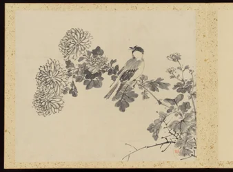 "Rafinovaná elegance ve čtyřech ročních obdobích" (Shiji seiga), Album květinových obrazů