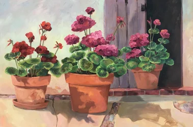 Geranium Series 2, cca 1990-2005 (olej na plátně)