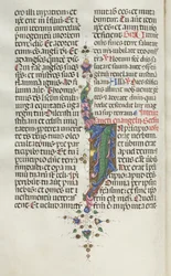 Missale: Fol. 22v: Listí s rybami, 1469.