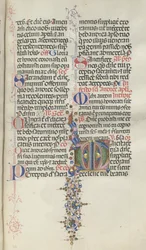 Missale: Fol. 260: Listí s ovocem, 1469.