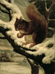 Punainen orava syö pähkinää (öljy myllylaudalle)