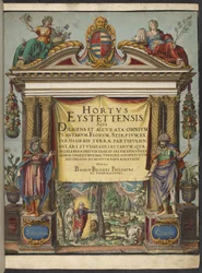 Titulní strana, od 