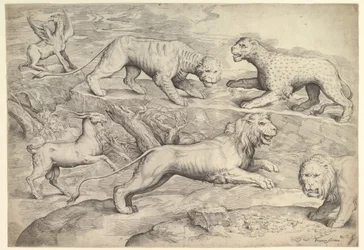 Šest zvířat, včetně lvů, tygra, leoparda, griffina a kozy, ca. 1530-61.