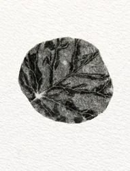 List, 2014, (dřevoryt na papíře)