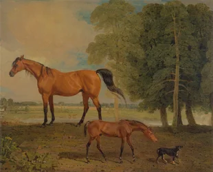 Broodmare s hříbětem a teriérem