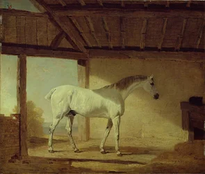 Kůň hraběte z Coventry, 1805.