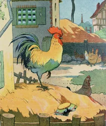 Kohout, ilustrace z knihy „Le Buffon de Benjamin Rabier“, upravená podle „Histoire Naturelle“ Georgese de Buffona (1707-88)