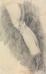 Svalová studie nohy