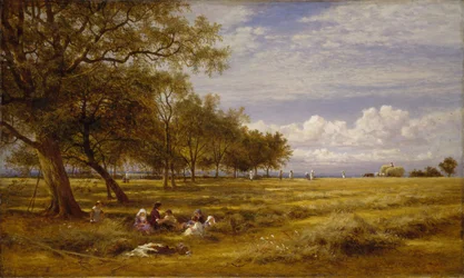 Anglický Hayfield, 1878.