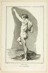 Design: Academic Figure, z Encyklopédie