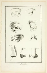 Design: Facial Anatomy z Encyclopédie