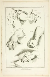 Design: Ruce, z Encyklopédie