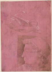 Hlava muže, dvě studie ženského profilu a studie anděla verso, c. 1458.