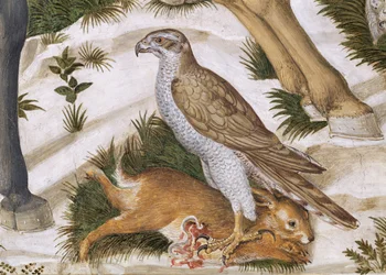 Sokol s uloveným králíkem, detail z cyklu Cesta tří králů v kapli, detail fresky cca 1460 z 70601