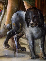 Pes, detail z Narození Ježíše, cca 1470, malba Benvenuto di Giovanni, tempera na panelu