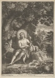 Svatý Jan v divočině