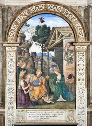 Klanění pastýřů, freska od Pinturicchia (Bernardino di Betto) (1454-1513), 1484-1492, bazilika Santa Maria del Popolo (kostel Santa Maria del Popolo), kaple Basso della Rovere, Řím, Itálie