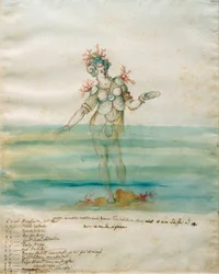 Mořská nymfa