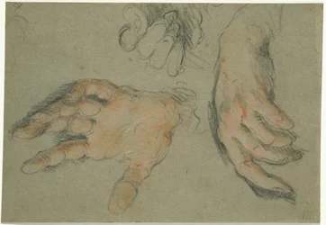 Studie tří rukou, 1625-30 (černá a červená křída na papíře)