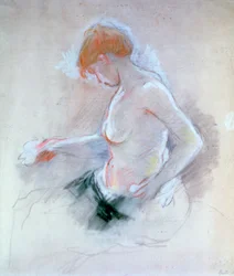 Akt, kolem 1861-1895