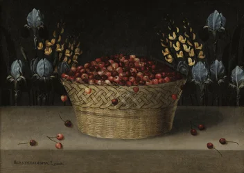 Zátiší s třešněmi, lupinou a kosatcem, asi 1610 (olej na plátně)