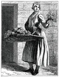Moje krásné růžové!, 1737-1742.