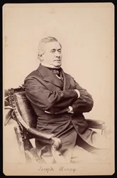 Portrét Josepha Henryho 1797-1878, mezi 1868 a 1878.