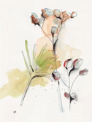 Moderní botanická studie