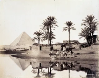 Velbloudi pijící na úpatí egyptských pyramid - fotografie bratří Zangaliů, konec 19. století