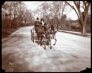 Anna Held a Florenz Ziegfeld řídí kočár tažený koňmi, New York, 1904 (stříbrný želatinový tisk)