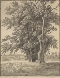 Ostrov ve Valsølille