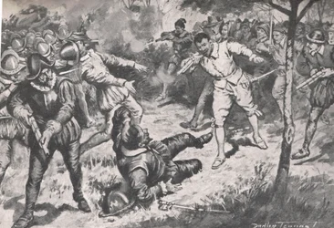 Admirál, následovaný svou družinou, běžel střemhlav ke stráži Vera Cruz, ilustrace z 