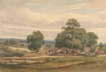Emerey Down poblíž Lyndhurst, New Forest, Hants