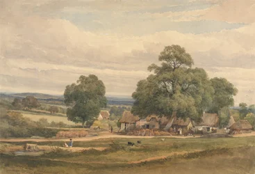 Emery Down poblíž Lyndhurst, New Forest, Hants (akvarel a grafit na papíře)