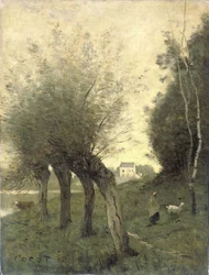 Krajina s Pollard Willows