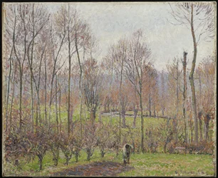 Topoly, šedé počasí, Eragny, 1895