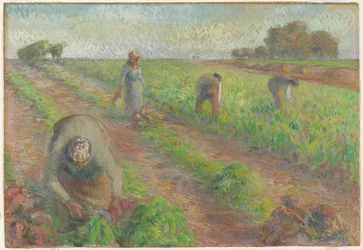 The Beet Harvest, 1881 (kvaš nad grafitem na plátně)